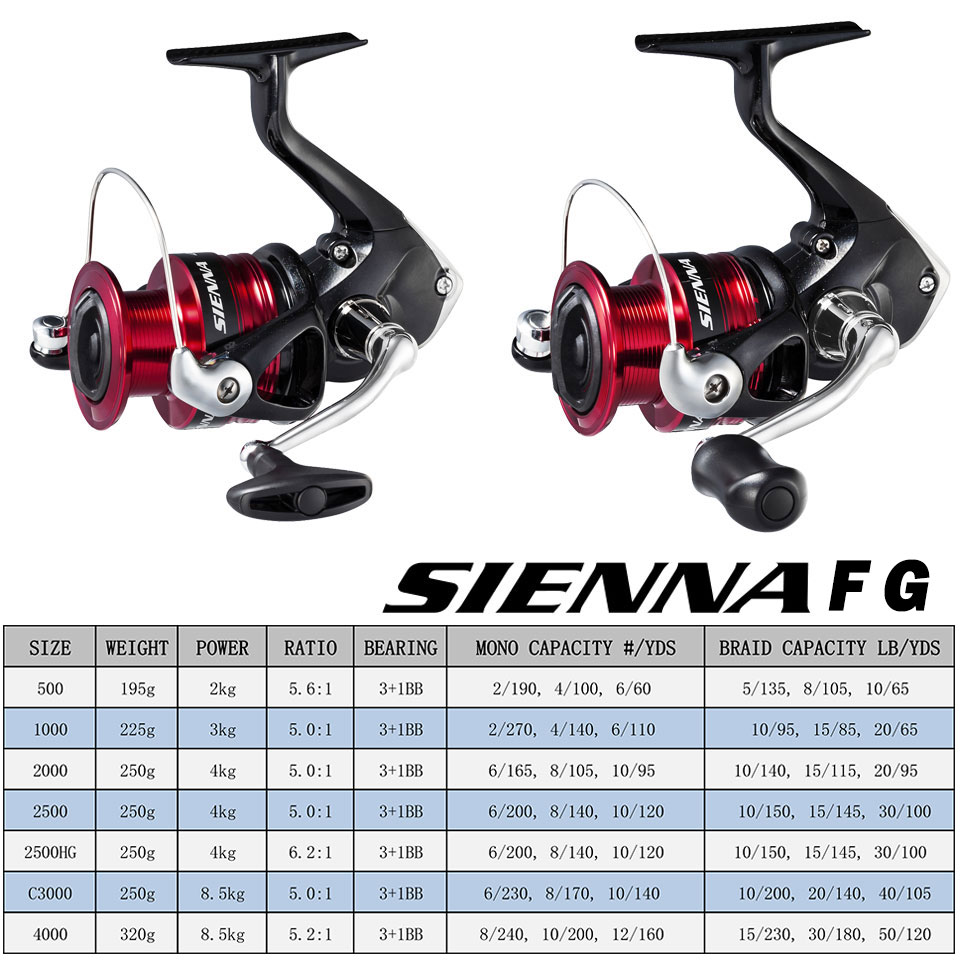 SHIMANO SIENNA Mulinello da pe - Shimano Reel Stradic recensione e prezzo