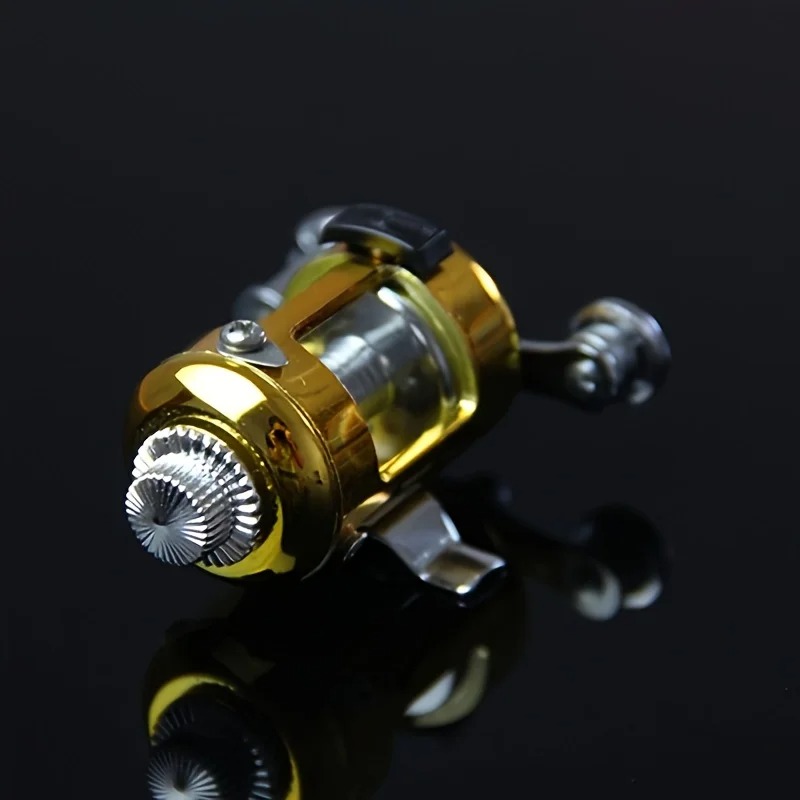 Canna da Pesca a Penna e Mulin - Penn Reel Fierce recensione e prezzo